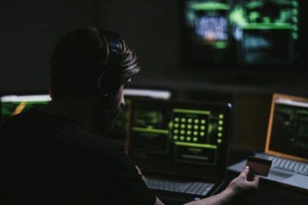 nexus darknet site